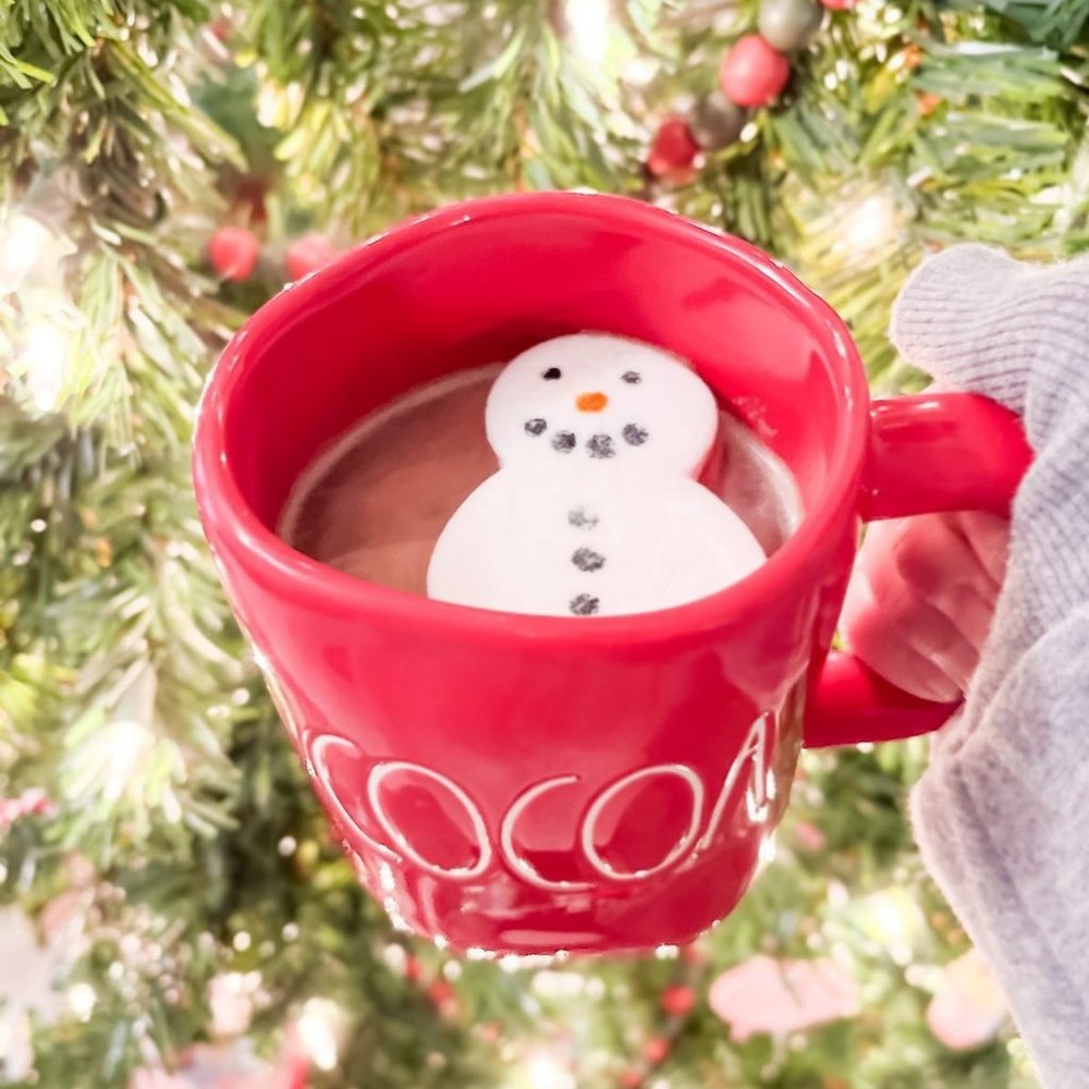 ♥️ Rae Dunn cocoa mug